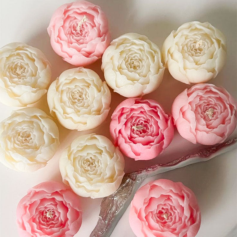 PetalGlow Collection