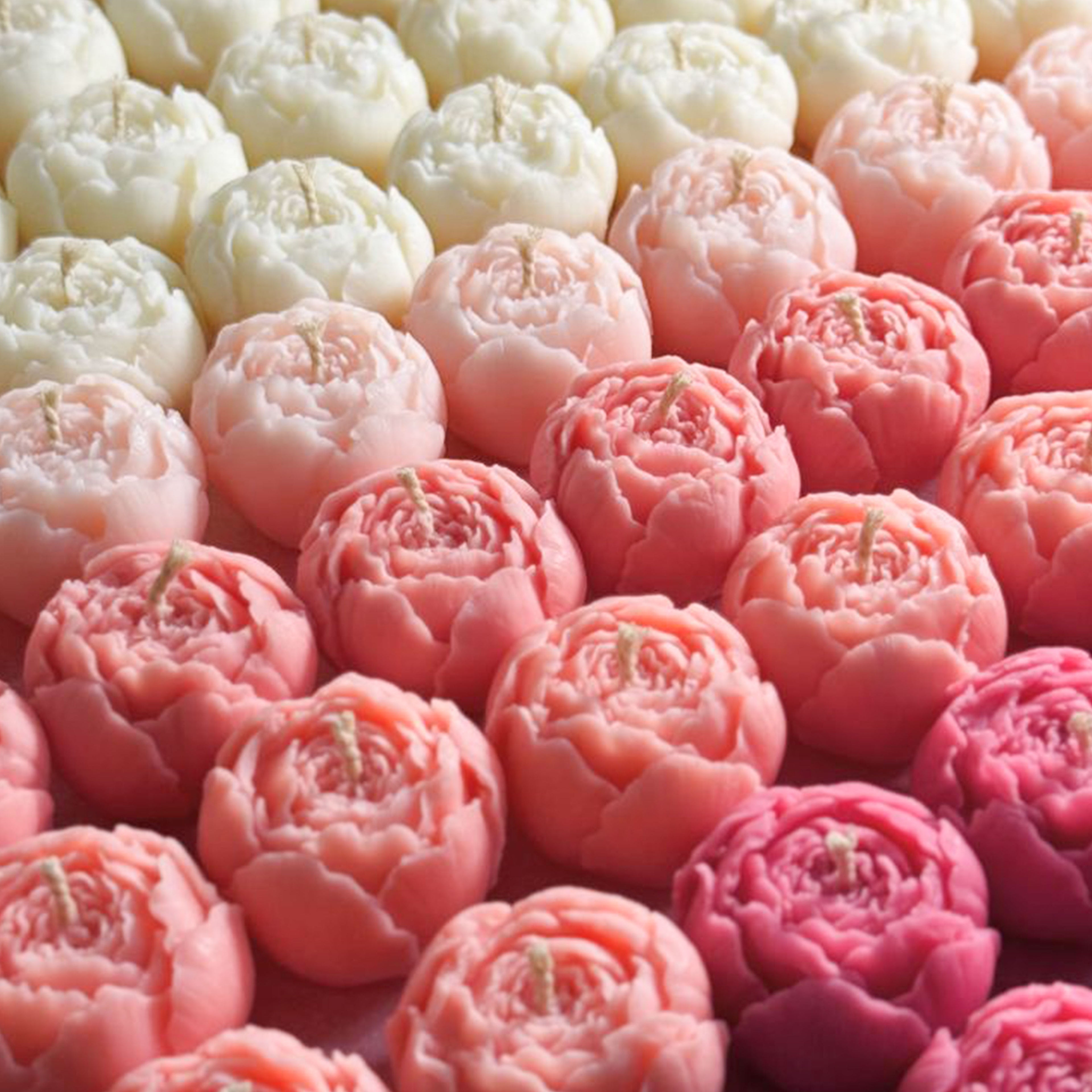 Roseate Glow