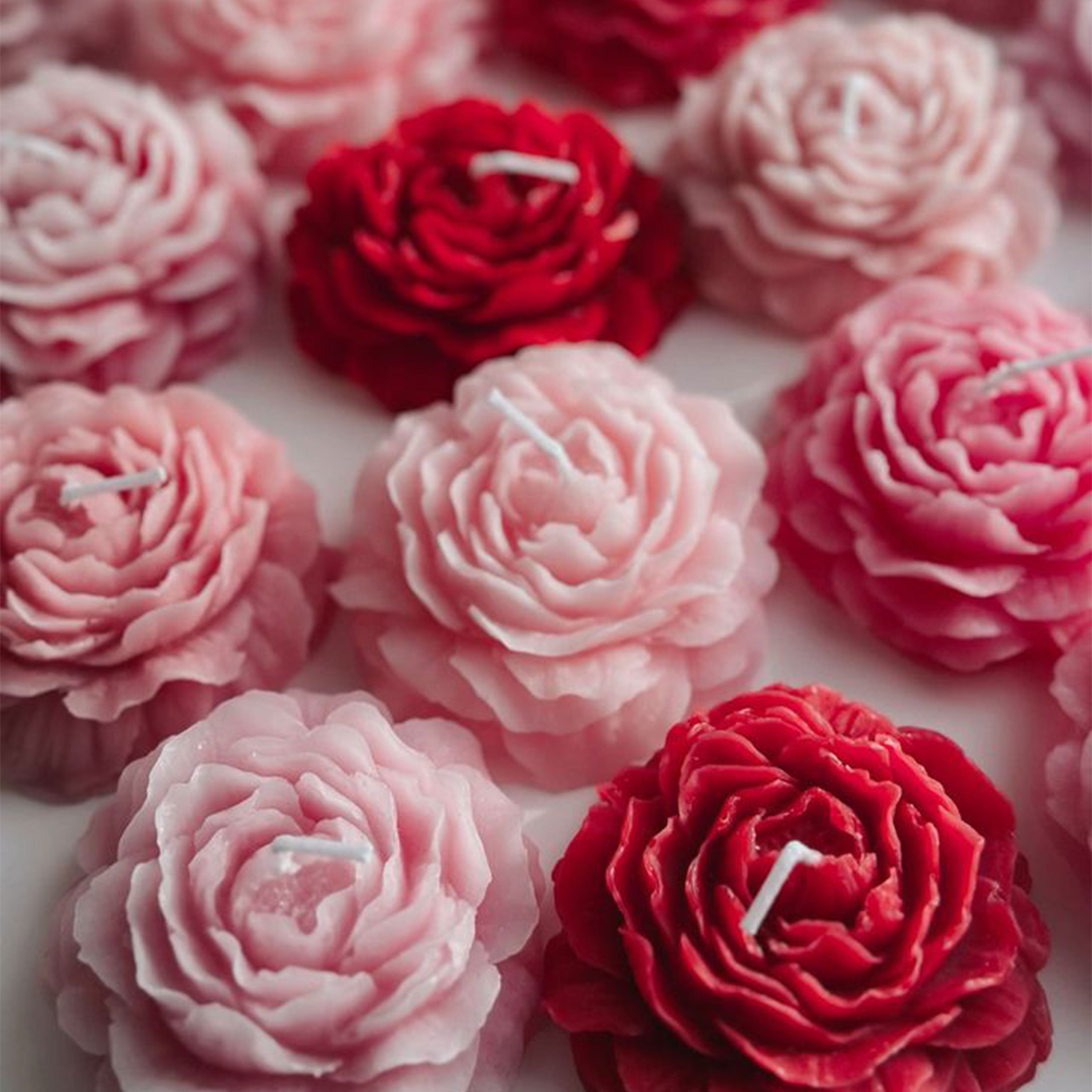 Roseate Glow
